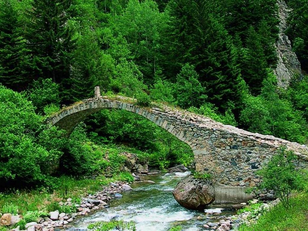 TRABZON - RİZE